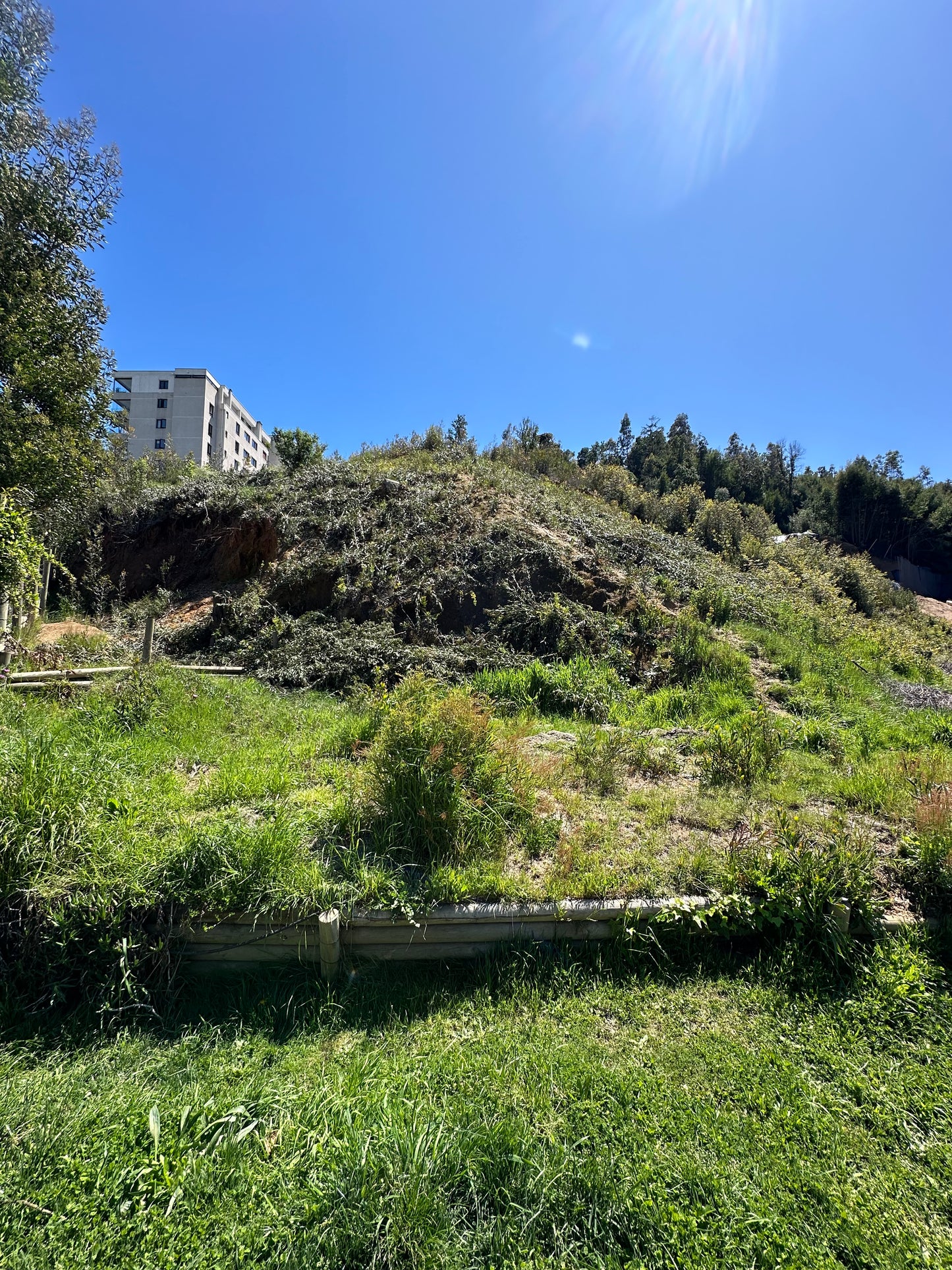 Sitio Quinta Junge C2