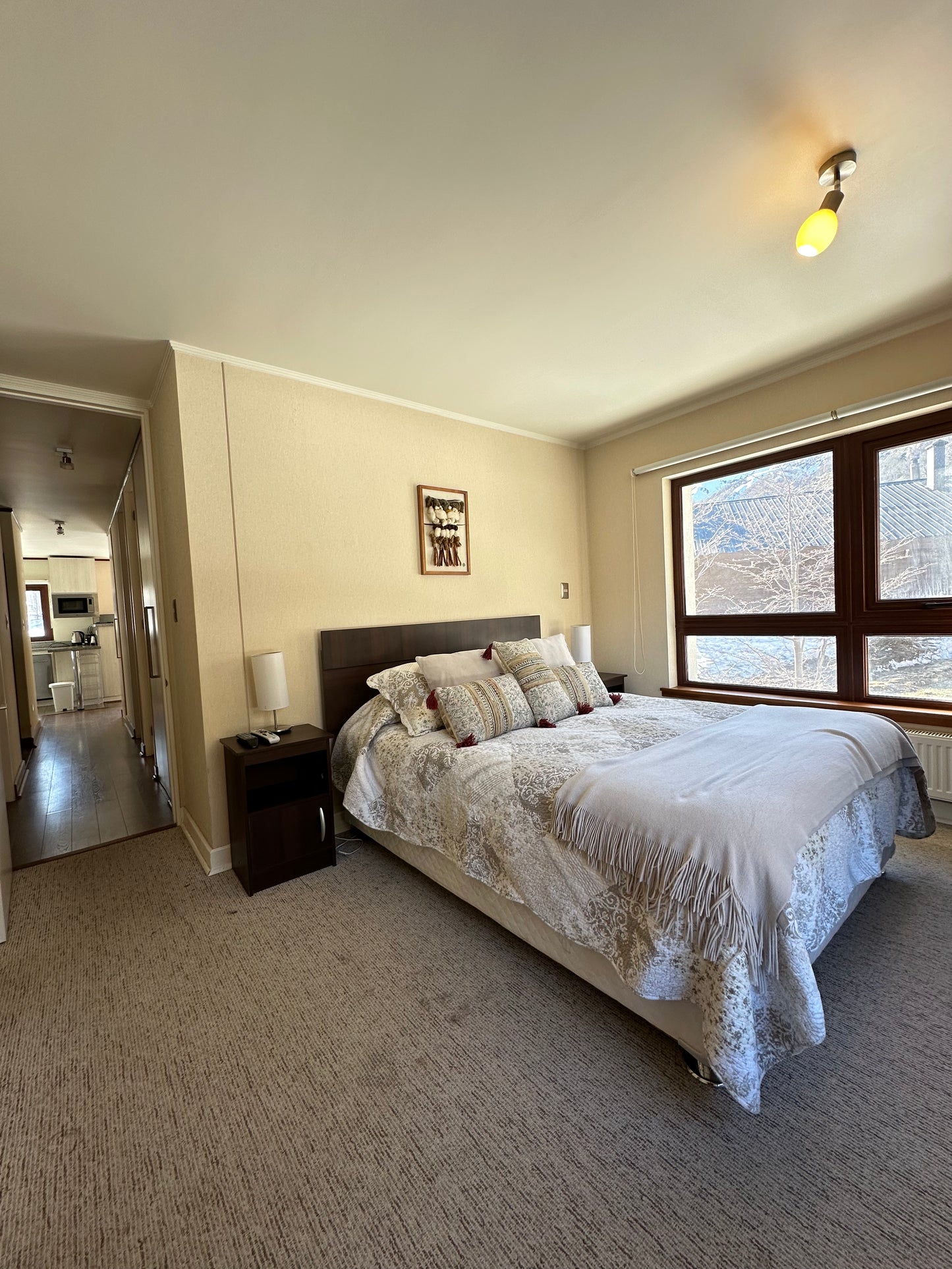 Departamento Condominio Andes - Termas De Chillán