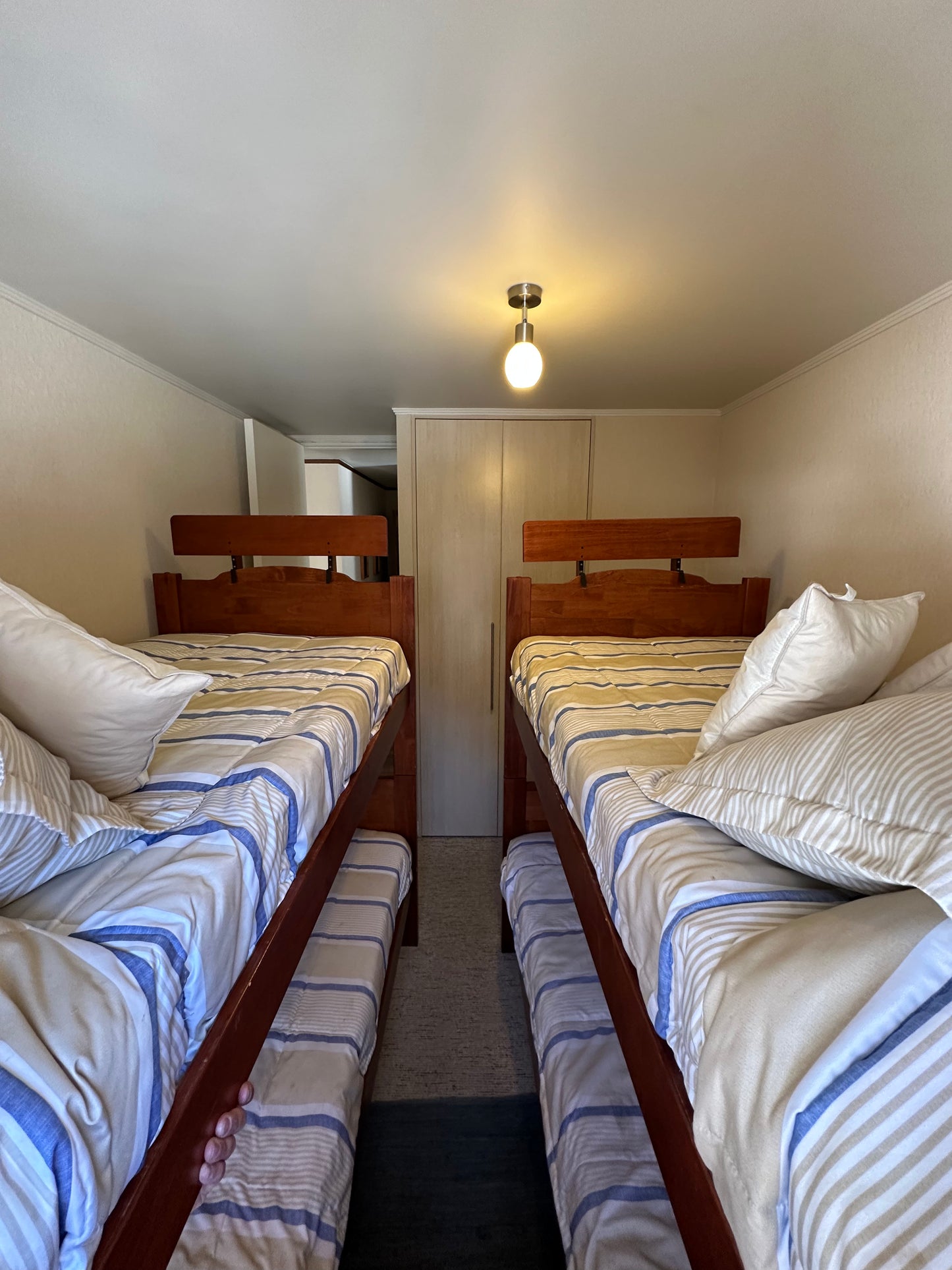 Departamento Condominio Andes - Termas De Chillán