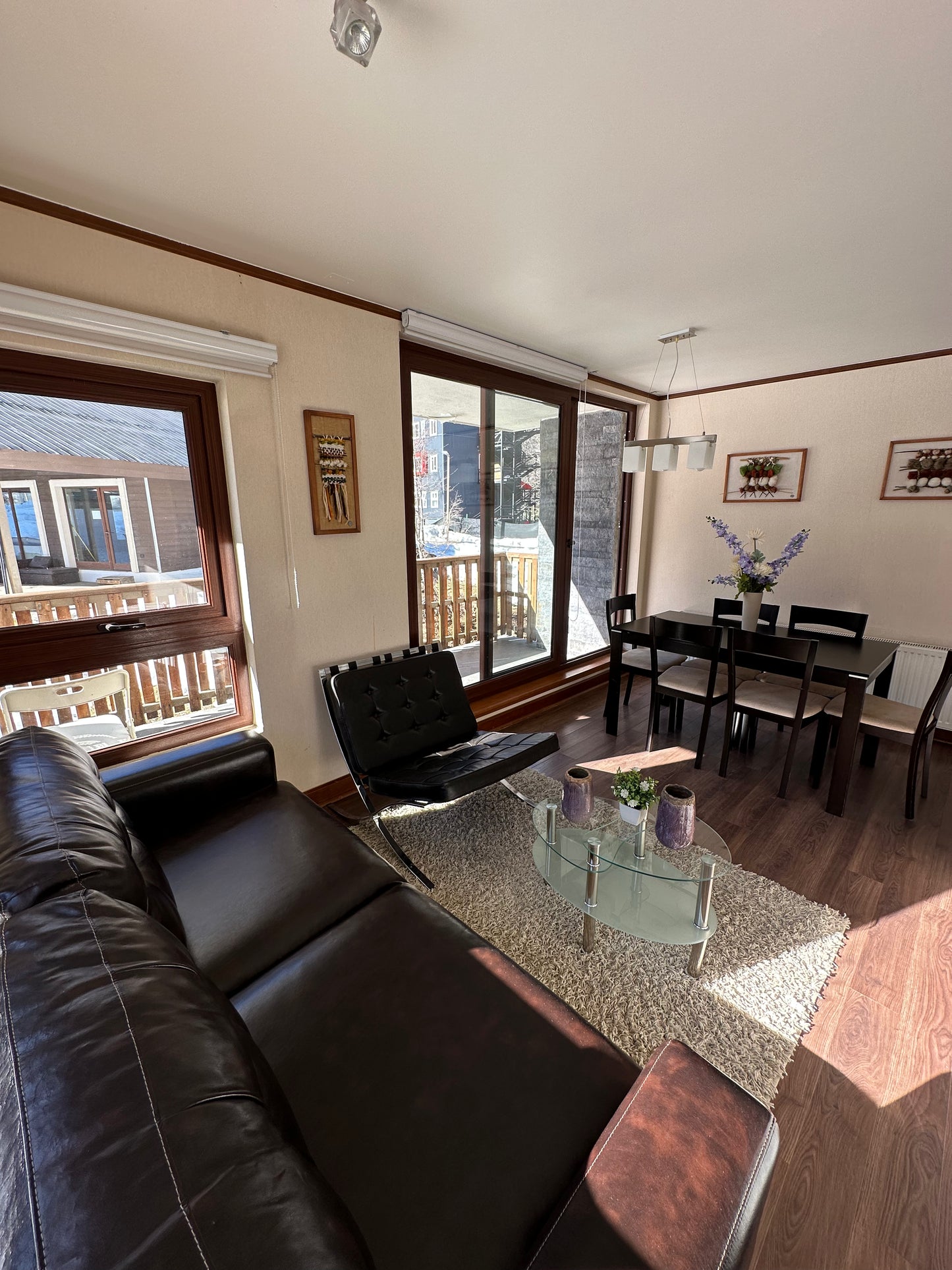Departamento Condominio Andes - Termas De Chillán