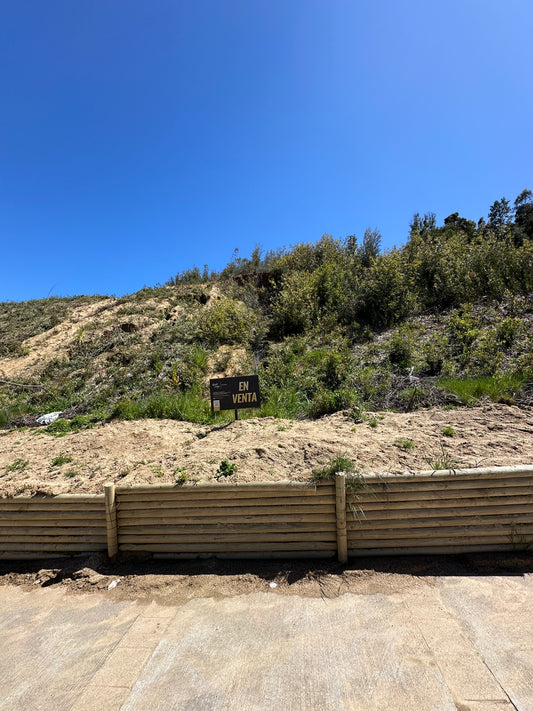 Sitio Quinta Junge C2