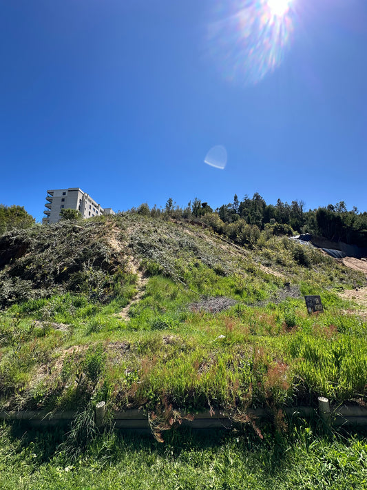 Sitio Quinta Junge C1