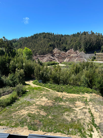 Sitio Quinta Junge D3