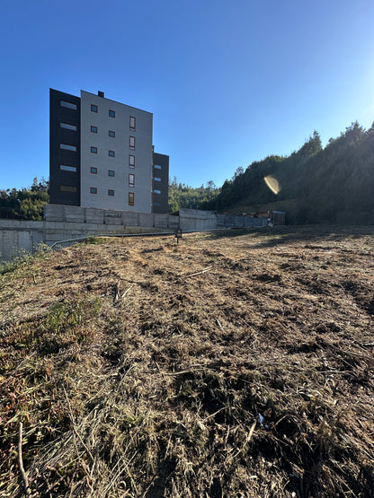Sitio Quinta Junge D3