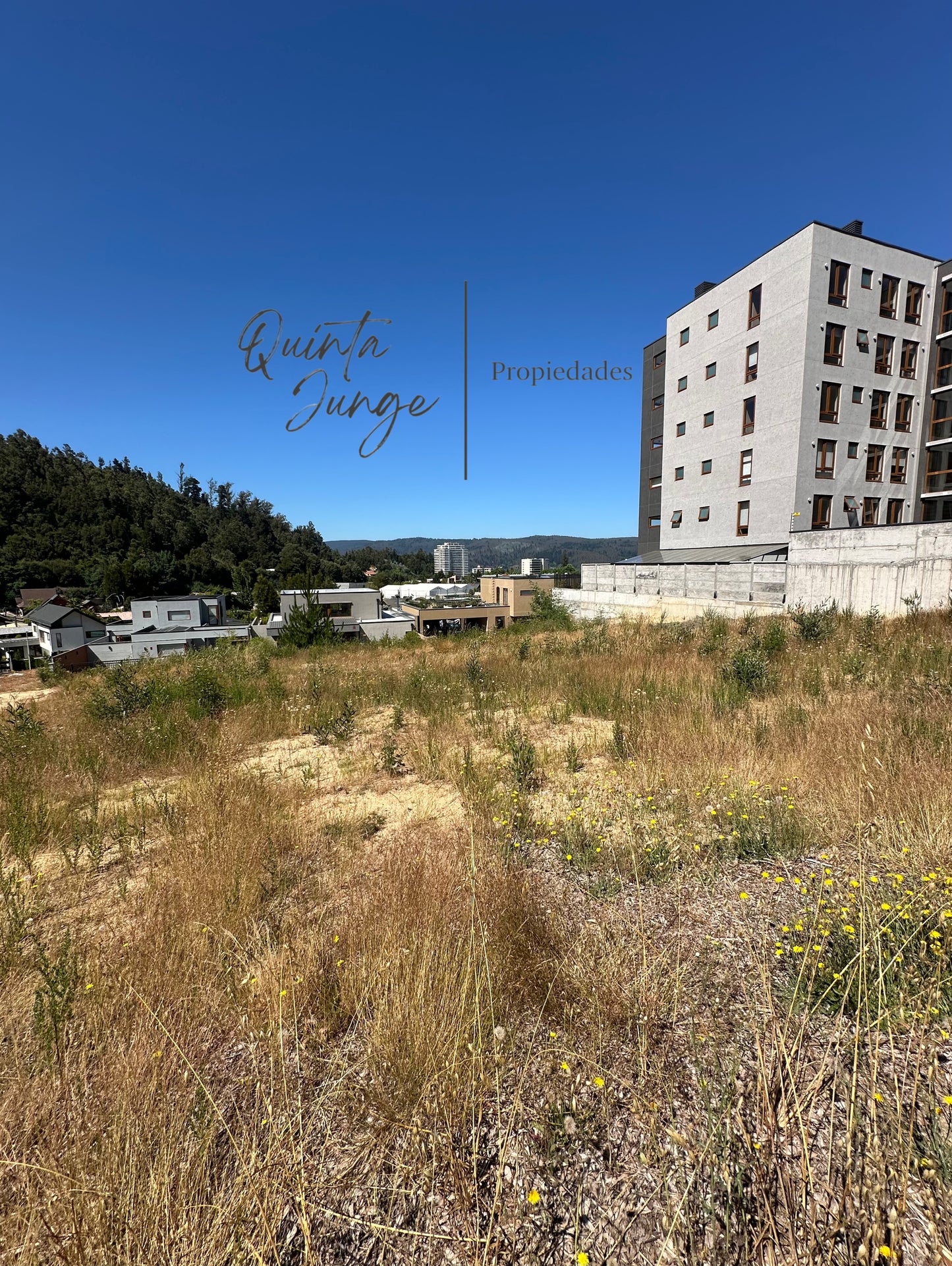Sitio Quinta Junge D3